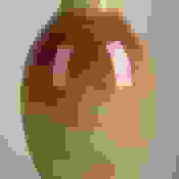 Placeholder for Hjc 0255