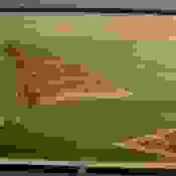 Placeholder for Hjc 0464 A