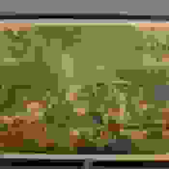 Placeholder for Hjc 0464 C