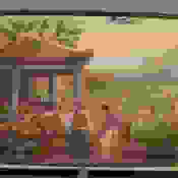 Placeholder for Hjc 0464 D