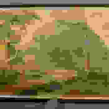 Placeholder for Hjc 0464 P