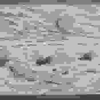 Placeholder for Hjc 0499