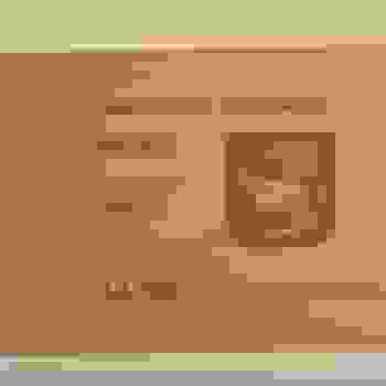 Placeholder for Hjc 1169