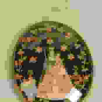 Placeholder for Hjc 1441