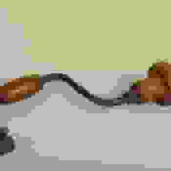 Placeholder for Hjc 1502