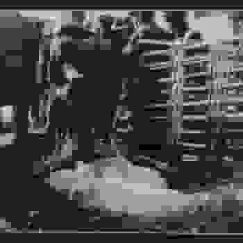 Placeholder for Hjc 1524 A