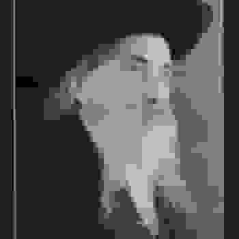 Placeholder for Hjc 1524 C