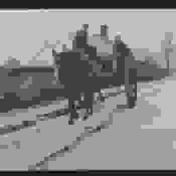 Placeholder for Hjc 1524 F