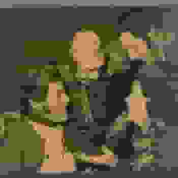 Placeholder for Hjc 1526