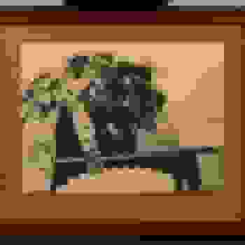 Placeholder for Hjc 1580