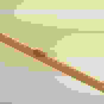Placeholder for Hjc 1684 A