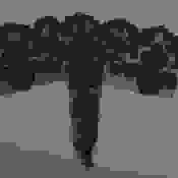Placeholder for Hjc 1755