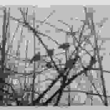 Placeholder for Hjc 1792 I