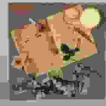 Placeholder for Hjc 1848