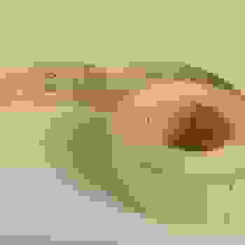 Placeholder for Hjc 1875 C