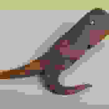 Placeholder for Hjc 1981