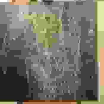 Placeholder for Hjc 2425