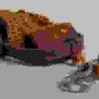 Placeholder for Hjc 2631