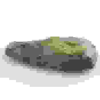 Placeholder for JC 0012