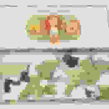 Placeholder for JC 0024