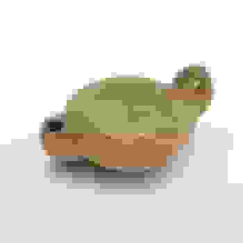 Placeholder for JC 0081