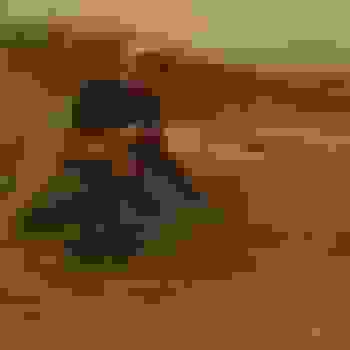 Placeholder for JC 0266