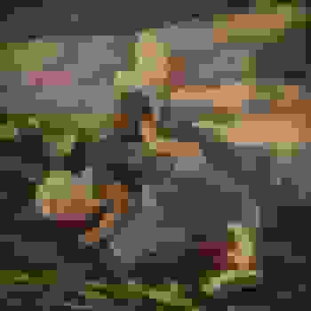 Placeholder for JC 0299