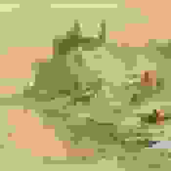 Placeholder for JC 0316