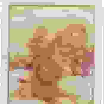 Placeholder for JC 0317