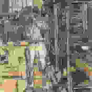 Placeholder for JC 0318