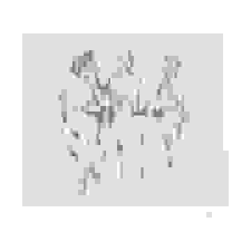 Placeholder for JC 0393