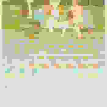 Placeholder for JC 0394