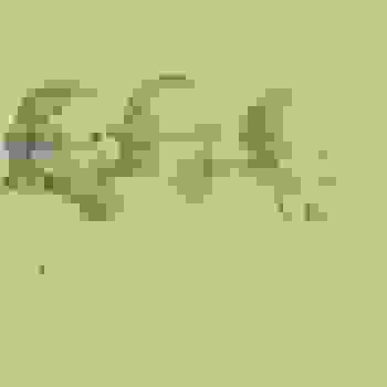 Placeholder for JC 0413