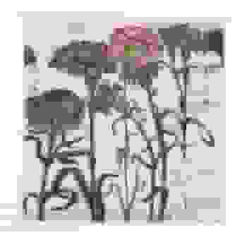Placeholder for JC 0440