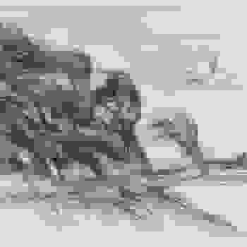 Placeholder for JC 0448