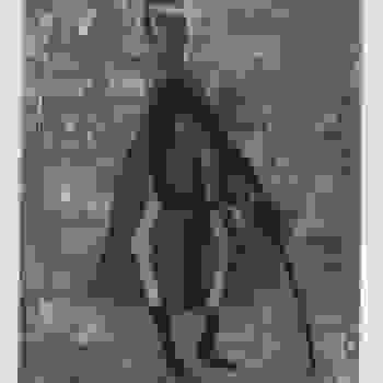 Placeholder for JC 0455
