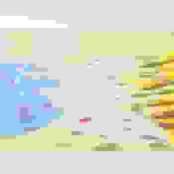 Placeholder for JC 0456