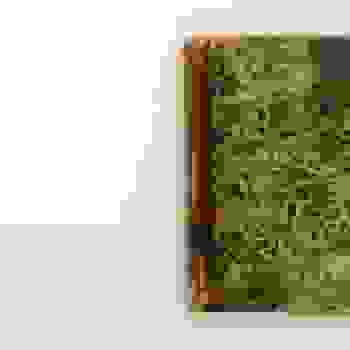Placeholder for JC 0461 01