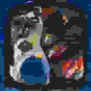 Placeholder for JC 0483