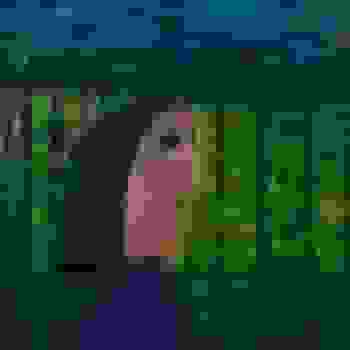 Placeholder for JC 0485