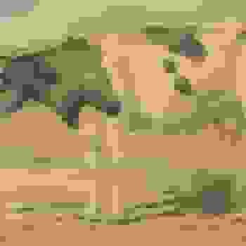 Placeholder for JC 0488