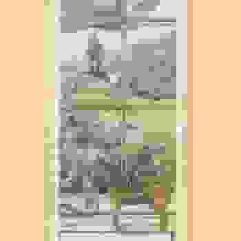 Placeholder for JC 0528 H