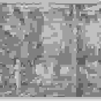 Placeholder for JC 0537