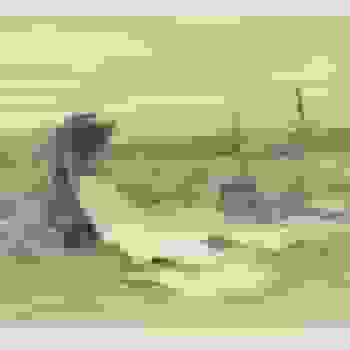 Placeholder for JC 0542
