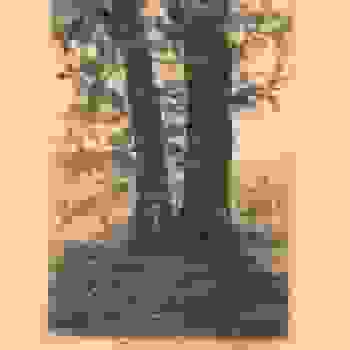 Placeholder for JC 0543