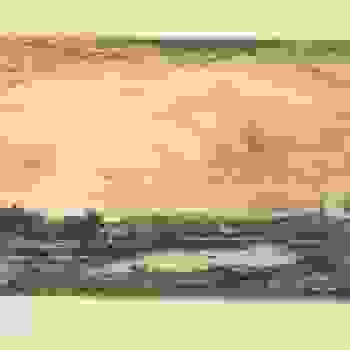 Placeholder for JC 0544