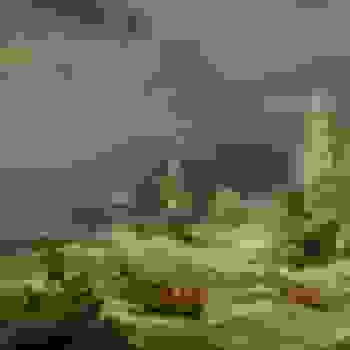 Placeholder for JC 0586