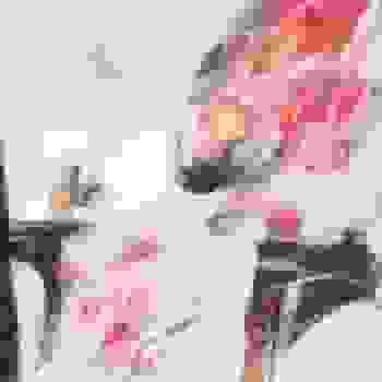 Placeholder for JC 0606