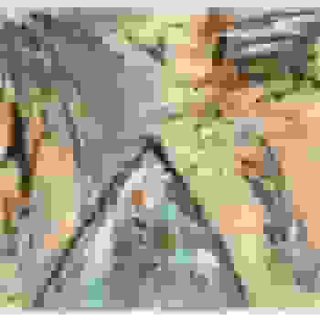Placeholder for JC 0630 A
