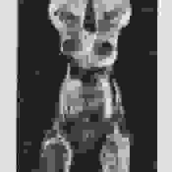 Placeholder for JC 0640